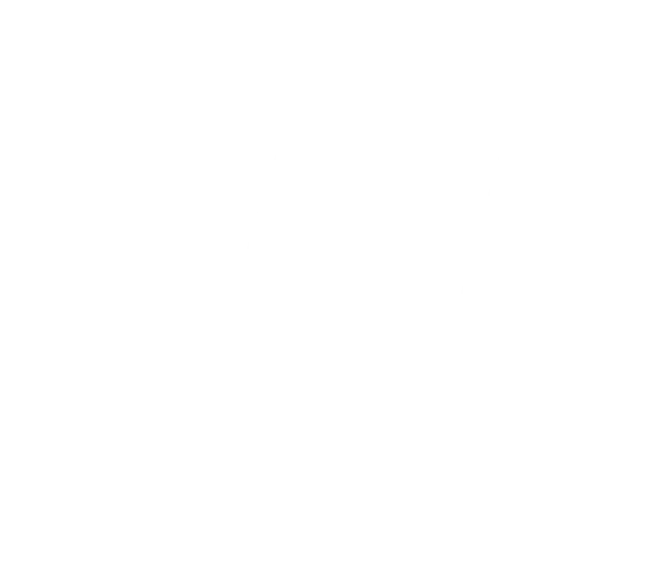 white transparent logo